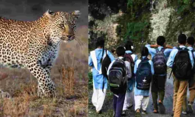 Uttarakhand breaking news|Pauri Garhwal Guldar attack School close holiday news| Wildlife attack compensation India|