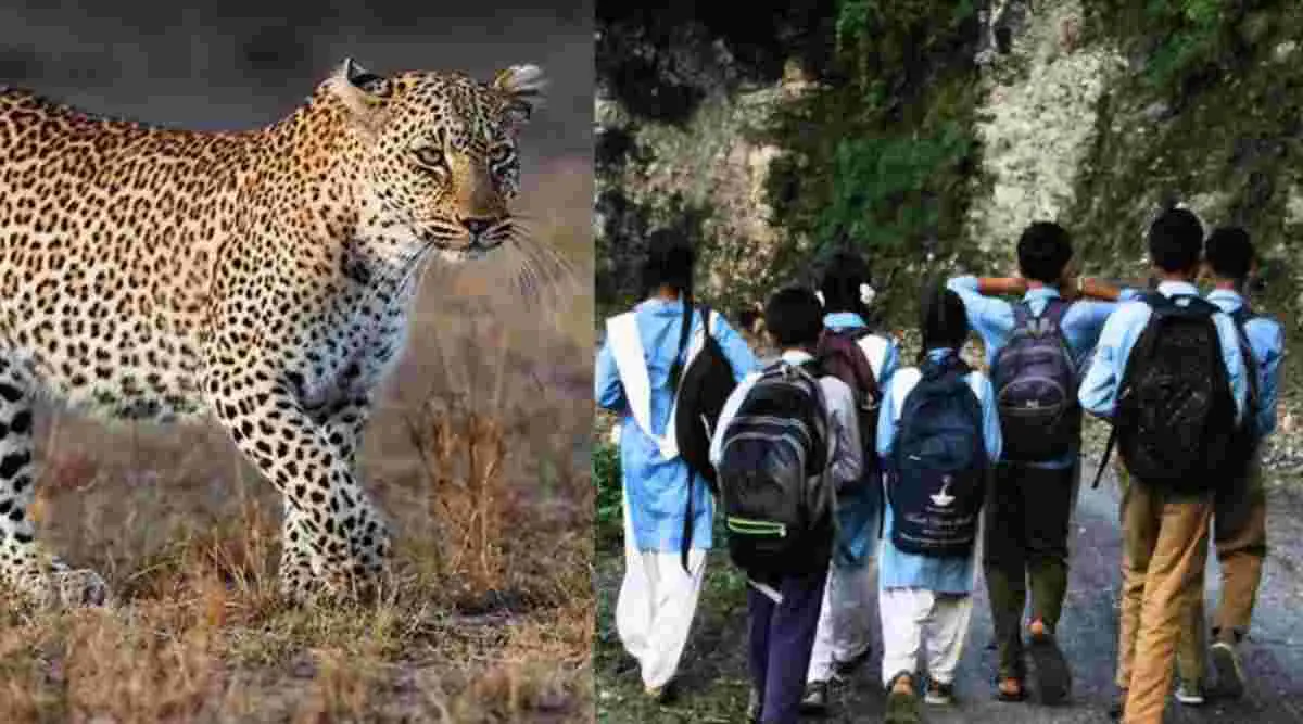 Uttarakhand breaking news|Pauri Garhwal Guldar attack School close holiday news| Wildlife attack compensation India|