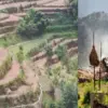 Uttarakhand news today: Consolidation land chakbandi in Uttarakhand policy may stop migration palayan uttarakhand breaking news today