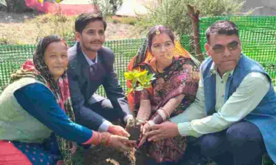 Chamoli shiv Singh farswan Fruit Tree planting After Wedding Environmental protection awareness program
