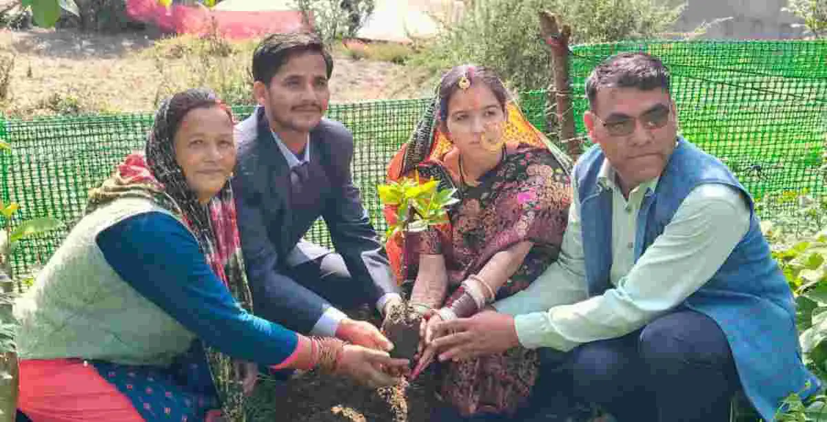 Chamoli shiv Singh farswan Fruit Tree planting After Wedding Environmental protection awareness program