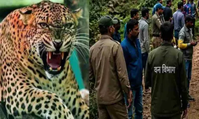 Pauri guldar attack today: mohan Chandra malasi died leopard tiger attack kamand village garhwal uttarakhand breaking news live update