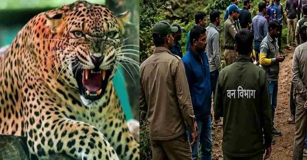 Pauri guldar attack today: mohan Chandra malasi died leopard tiger attack kamand village garhwal uttarakhand breaking news live update