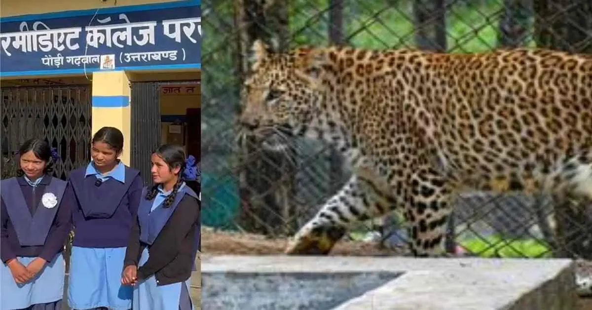 Pauri Garhwal school closed: due to guldar leopard tiger attack 16 uttarakhand school closed today uttarakhand breaking news live today