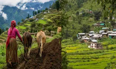 Nepali in Uttarakhand land sale: nainital High Court seeks response from govt for Nepali land purchases in Uttarakhand breaking news today