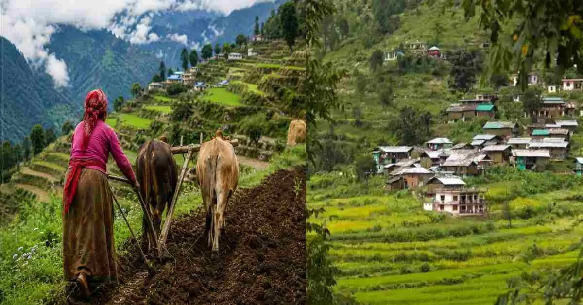 Nepali in Uttarakhand land sale: nainital High Court seeks response from govt for Nepali land purchases in Uttarakhand breaking news today
