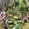 Nainital bhowali car Accident today: 5 died including 4 of khatima chuphal family kainchi dham bhowali road uttarakhand breaking news today