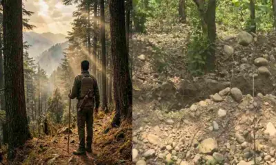 Uttarakhand News Today: Forest watcher mewaram murder case with an axe in Haldwani rudrapur Tanda Range uttarakhand crime news today