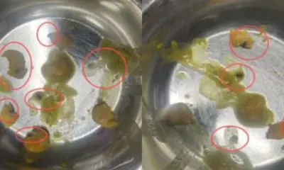 Uttarakhand news live: Insects found in Doon Medical College food, students food poisioning dehradun news today uttarakhand breaking news live