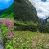 Uttarakhand news live: Uttarakhand Valley of Flowers opening date chamoli booking route will open June 1 2026 uttarakhand breaking news live