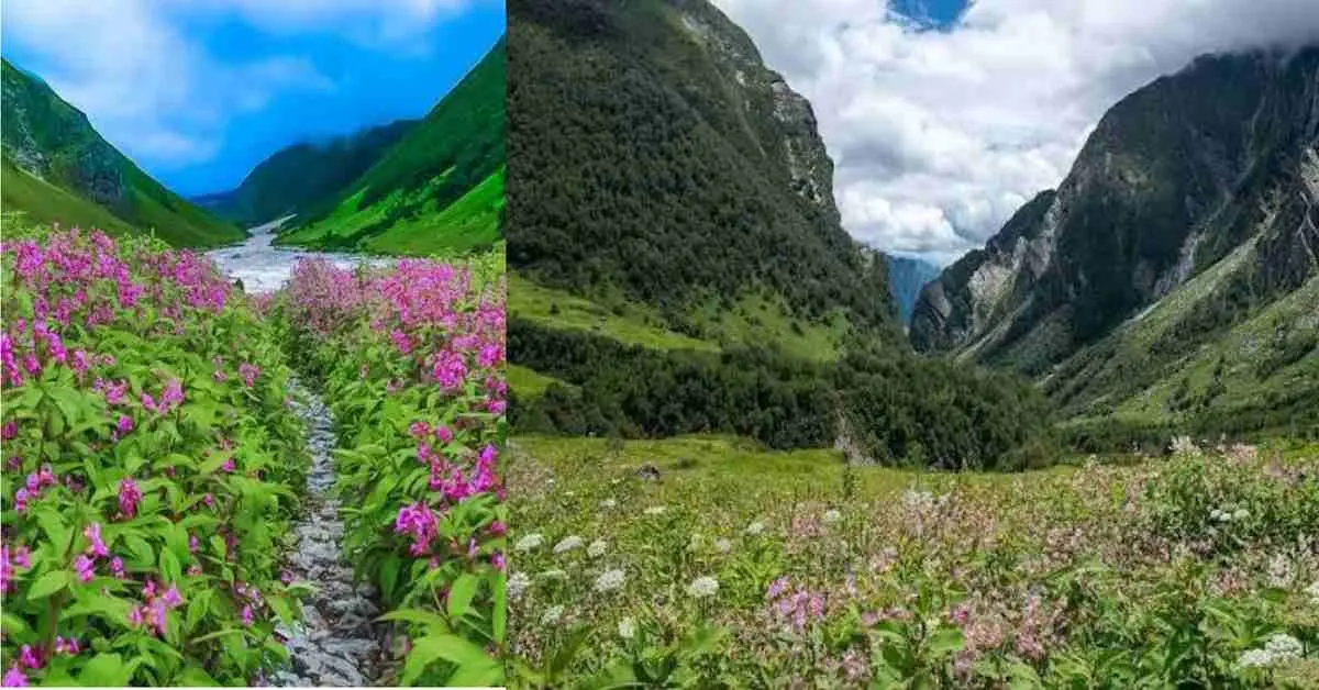Uttarakhand news live: Uttarakhand Valley of Flowers opening date chamoli booking route will open June 1 2026 uttarakhand breaking news live