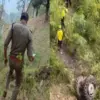 Almora accident news today: 2 youth died in kapharkhan road tractor trolley accident almora. Uttarakhand news live today