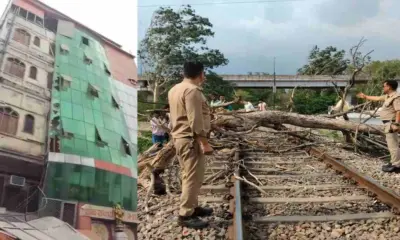 Uttarakhand weather today: Storm rain alert tree falls on railway track, hotel windows broken haridwar news today