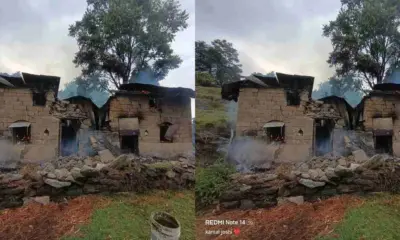 Uttarakhand breaking news: cow died Lightning strikes house in Champawat women fells unconscious weather alert today rain storm update