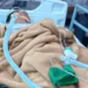 Uttarakhand news hindi: Dehradun Hostel Incident Four Girls Booked in Dalisha Bhagore Accident Case