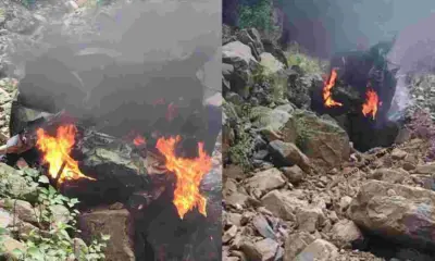 Uttarakhand news: Champawat accident news car fall in ditch tanakpur Pithoragarh Highway