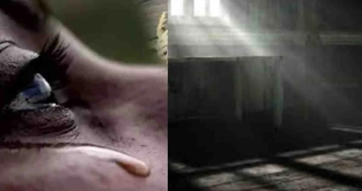 Uttarakhand News Hindi: Rudrapur: Woman Dies by Suicide After Minor Dispute Over Room Key