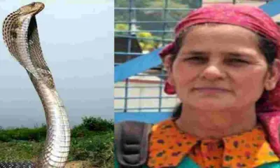 Uttarakhand breaking news Uttarkashi naugaon Sugandara devi Dies After Snake Bite While Working in Tomato Field