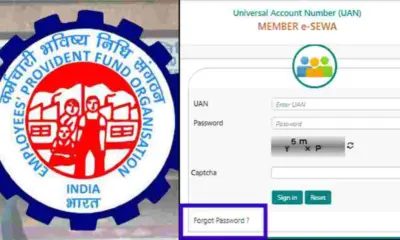 EPFO Online Services Suspended Till July 1, PF Claims and Passbook Access Affected
