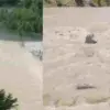 Uttarakhand: Uttarkashi Bhagirathi River Lake Rising Water Level Raises Flood Risk Near Harsil Dharali