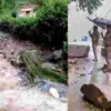 Uttarakhand Rain News Today weather IMD alert monsoon update in Hindi mausam samachar