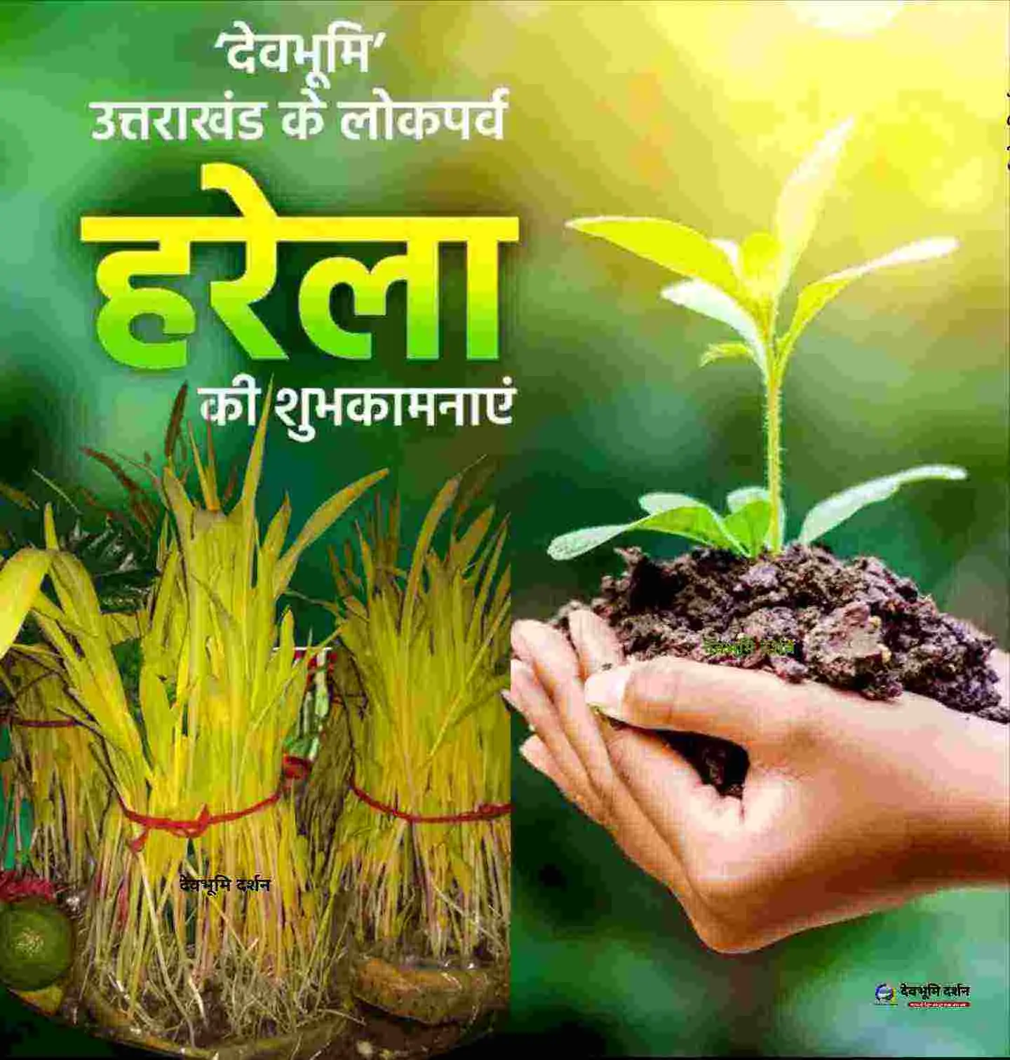 Happy Harela Festival Wishes Hindi 2026|हरेला पर्व की शुभकामनाएं| फोटो | शायरी
