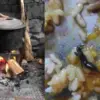 Uttarakhand Breaking News Today: Students of Dr.Ambedkar Hostel Uttarkashi for Two Months Getting Poor Food