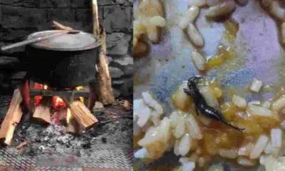 Uttarakhand Breaking News Today: Students of Dr.Ambedkar Hostel Uttarkashi for Two Months Getting Poor Food
