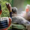 Uttarakhand Nainital news today: 3-Year-Old Delhi Tourist Falls 20 Feet from Hotel Window, Critically Injured