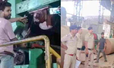 Uttarakhand breaking news today: Chamoli Resident Kirti Singh Dies in Himachal Paper Mill Accident