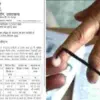 Uttarakhand Panchayat Elections 2026: chunav Polling for Deputy Pradhan and Gram Panchayat Posts on July 15
