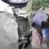 Uttarakhand Kainchi Dham Road Accident: Woman Injured as Car Falls Into River on Almora-Haldwani Highway