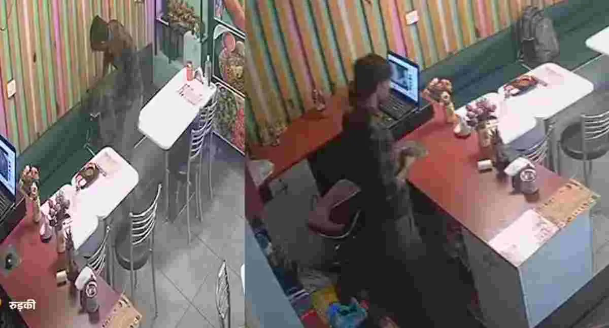 Haridwar News Today: Clever Thief Orders Idli, Locks Staff in Kitchen and Escapes with ₹30,000 in roorkee