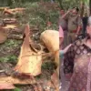 Dehradun News: 100 Trees Felled Amid Protests for Bhaniyawala–Rishikesh Four-Lane Project