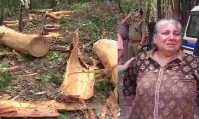 Dehradun News: 100 Trees Felled Amid Protests for Bhaniyawala–Rishikesh Four-Lane Project