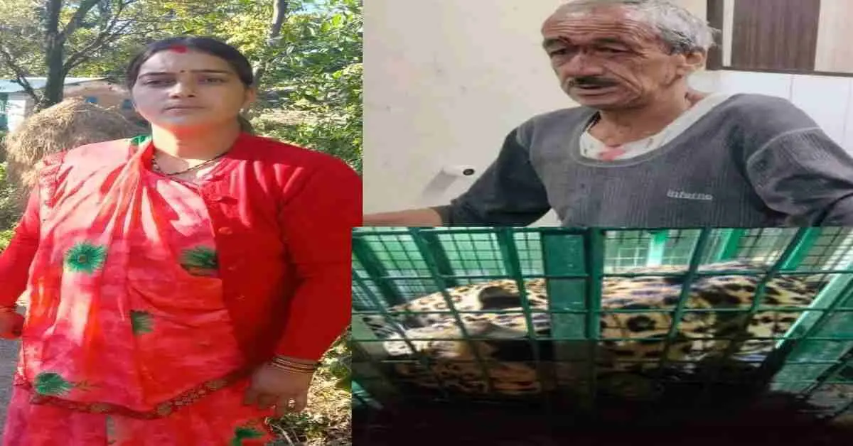 Champawat guldar attack today: leopard attack on suresh Pandey simlta village daughter kiran Pandey saved life