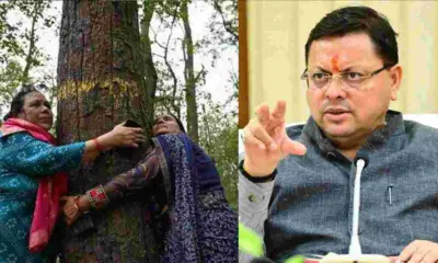 Uttarakhand: Dehradun Tree Cutting Protest: CM Dhami Halts Seven Bend Tree Felling Until Consensus