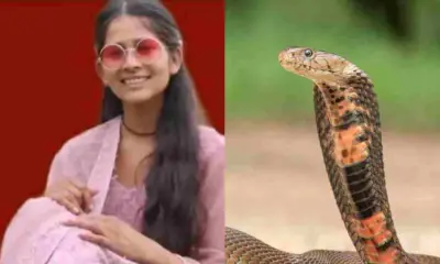 Pithoragarh news today: 22 years old bhawana died snake bite Pithoragarh siling village uttarakhand news live hindi.