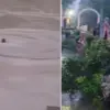 Haridwar news today: young woman jumping from old bridge into the Ganga Canal in roorkee video viral.