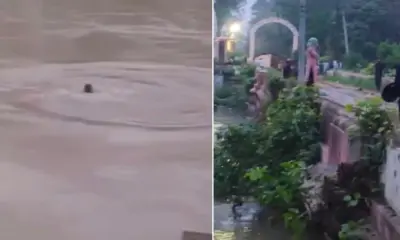Haridwar news today: young woman jumping from old bridge into the Ganga Canal in roorkee video viral.