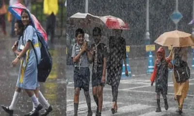 Uttarakhand school closed today: Bageshwar school holiday uttarakhand school news today rain alert news