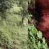 Almora breaking news Dwarahat Woman's Decomposed Body Found Hanging from Tree in Forest