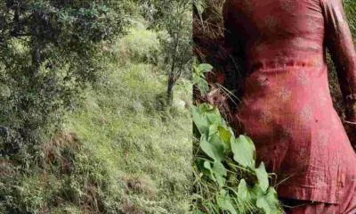 Almora breaking news Dwarahat Woman's Decomposed Body Found Hanging from Tree in Forest