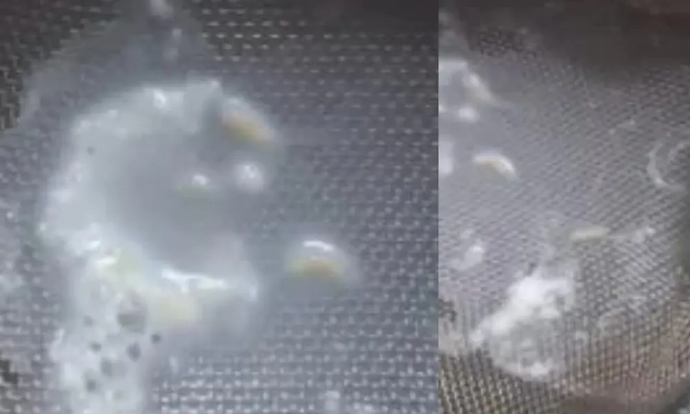 Bageshwar news today: Video goes viral showing worms found in milk after opening the packet in garur.