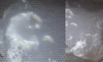 Bageshwar news today: Video goes viral showing worms found in milk after opening the packet in garur.