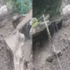 Uttarkashi landslide news: Heavy rain alert landslide Uttarkashi; Yamunotri track route closed today uttarakhand.