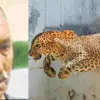Uttarakhand: Leopard Attacks Elderly Man in Haldwani, Woman's Quick Action Saves His Life